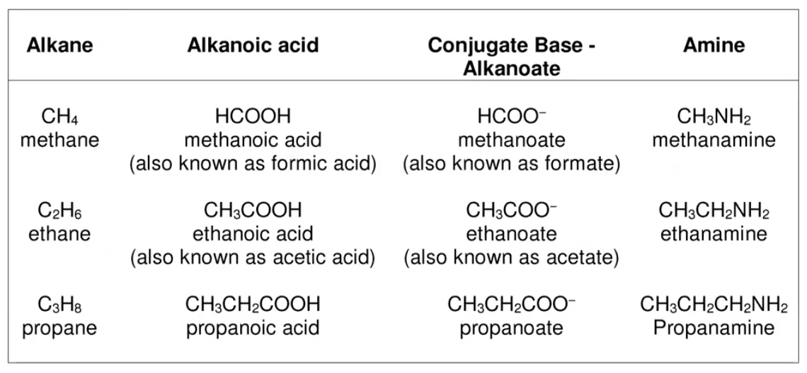 image-20211024015925789