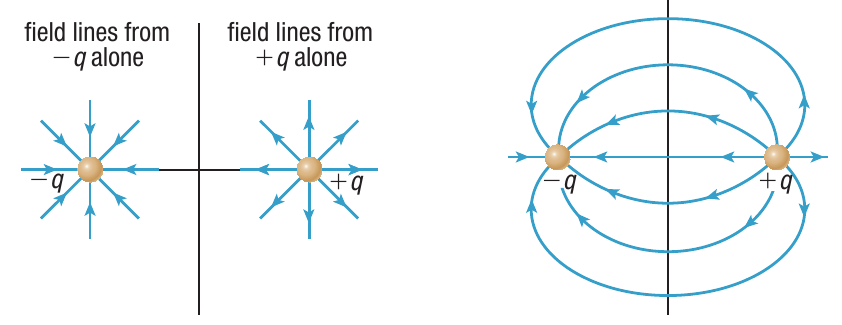 image-20210423034453029