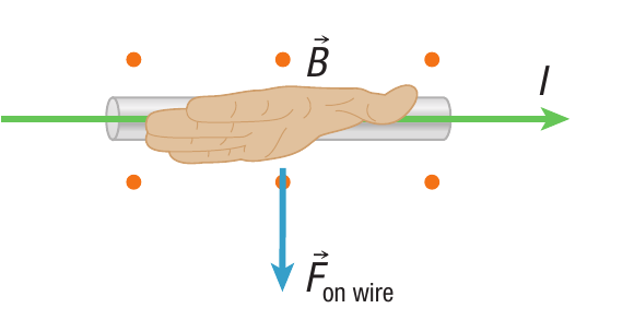 image-20210429022647549