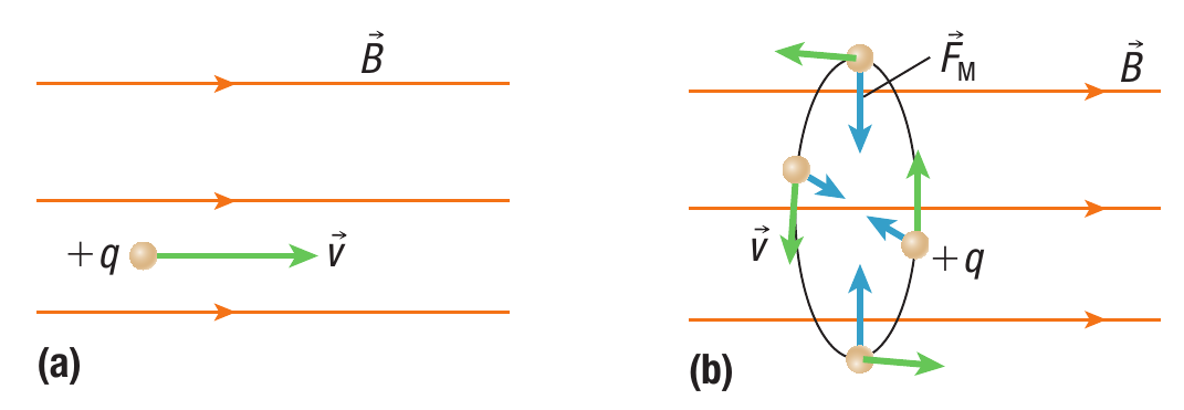 image-20210429023258093