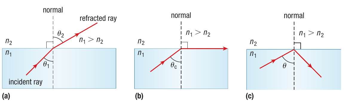 image-20210517004930738